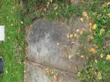 image of grave number 349940